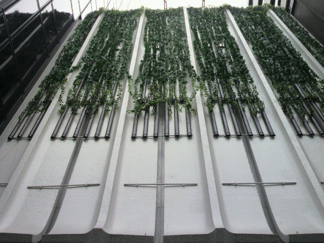 ヤクルトホール入口の上部外観です。緑の植物で飾られています。