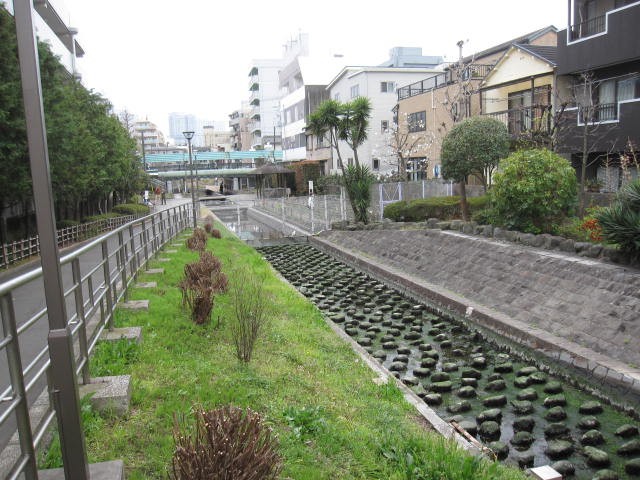 公園内