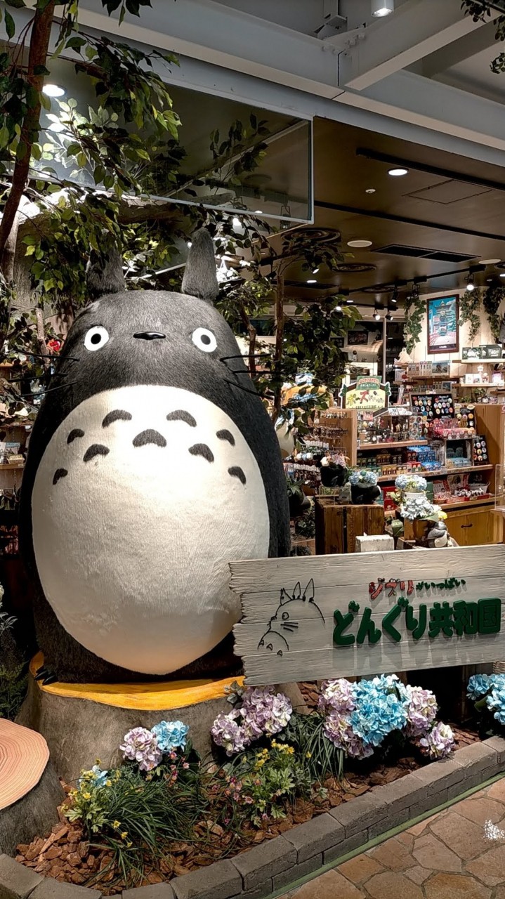どんぐり共和国