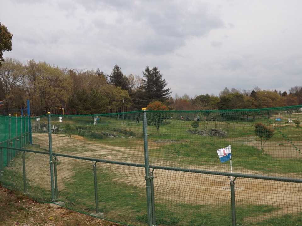 稲美中央公園で撮影