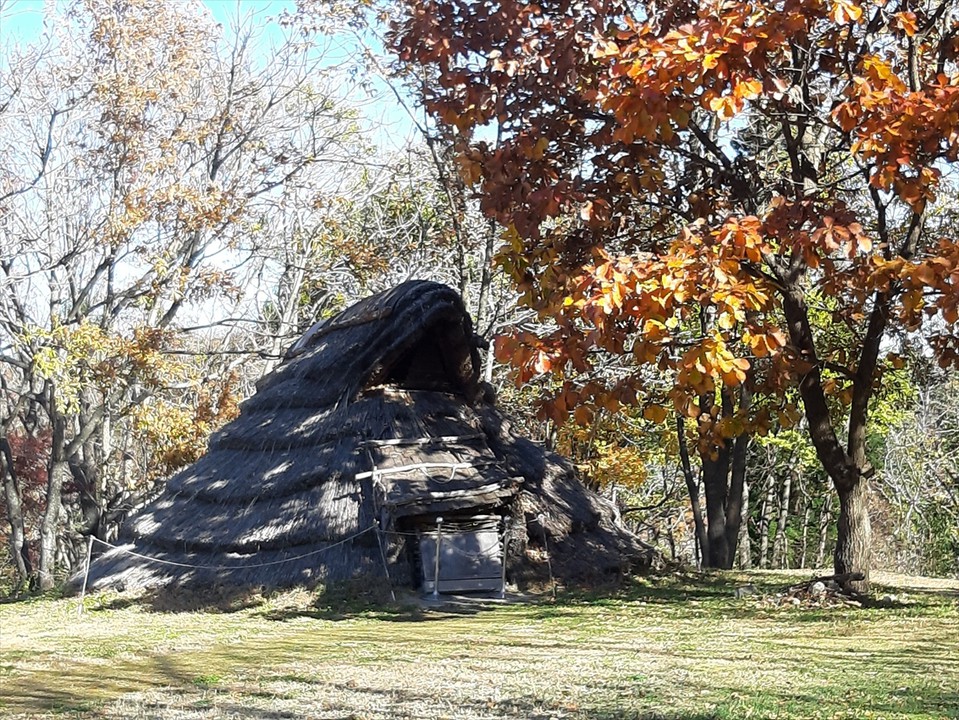 …遺跡や復元された竪穴式住居などが点在しています。