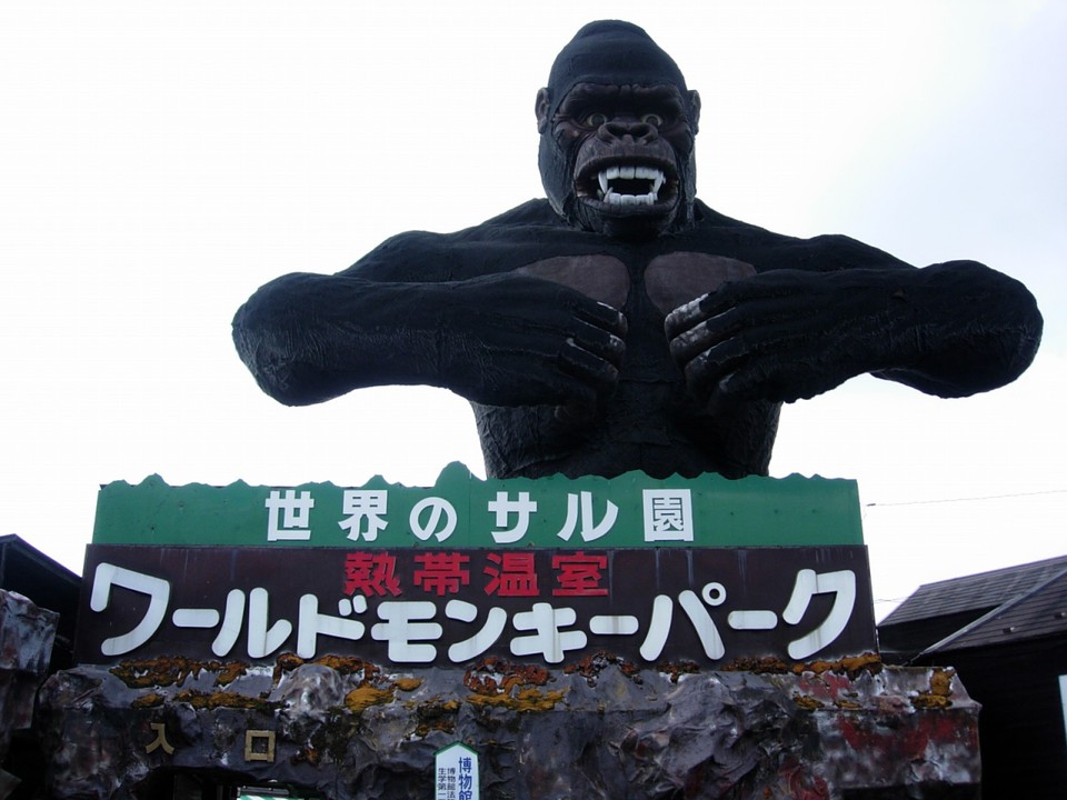 入り口のいるゴリラ