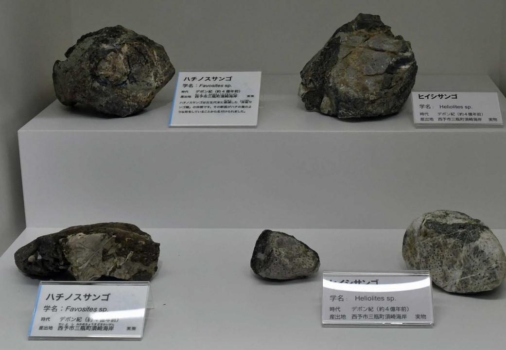 岩石類はもちろん・・・