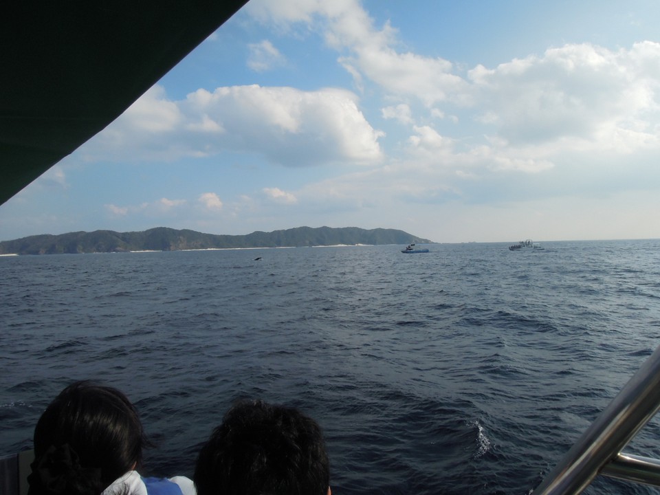 遠くにわずかに見えて、終了でした