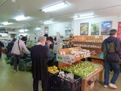 本日の特売はシャインマスカット！