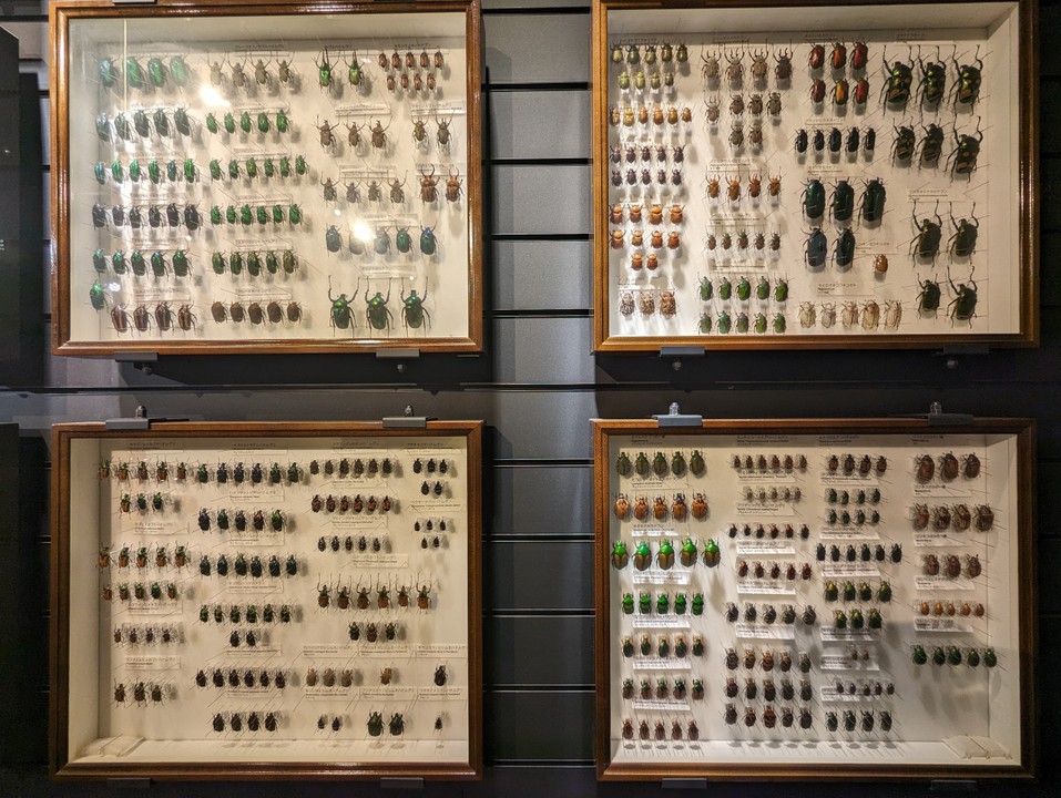 Exhibits