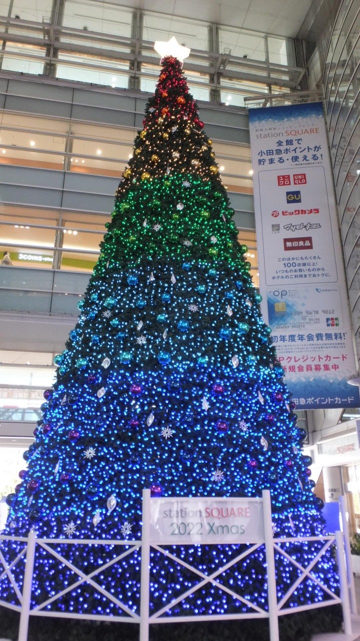 とても大きい