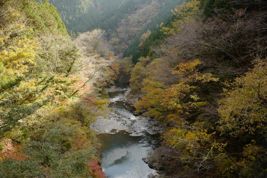 切り返しから先は、なだらかな舗装路から景色を楽しめます。