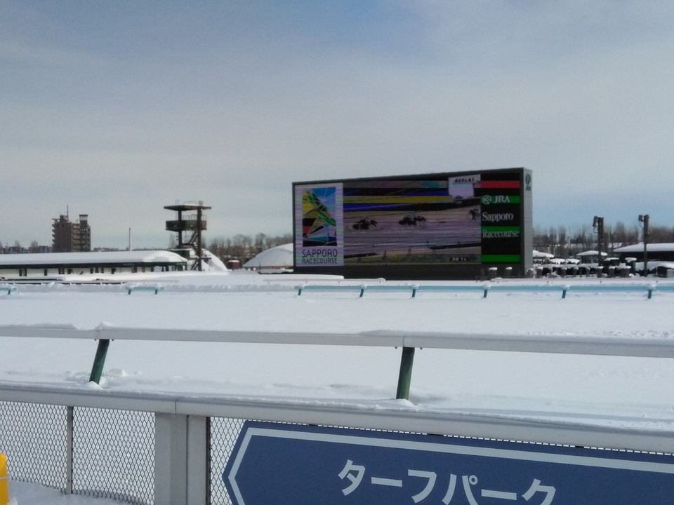 競馬はやってませんでした