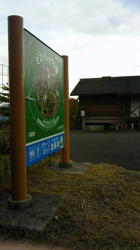 現地の看板は綺麗でした