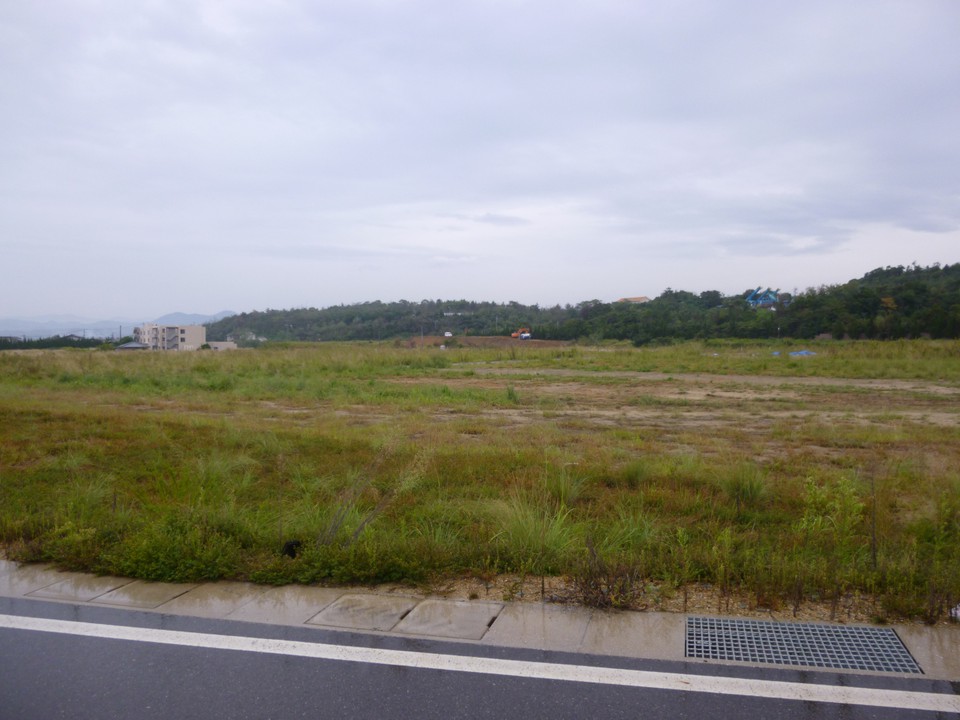 草が生い茂っています