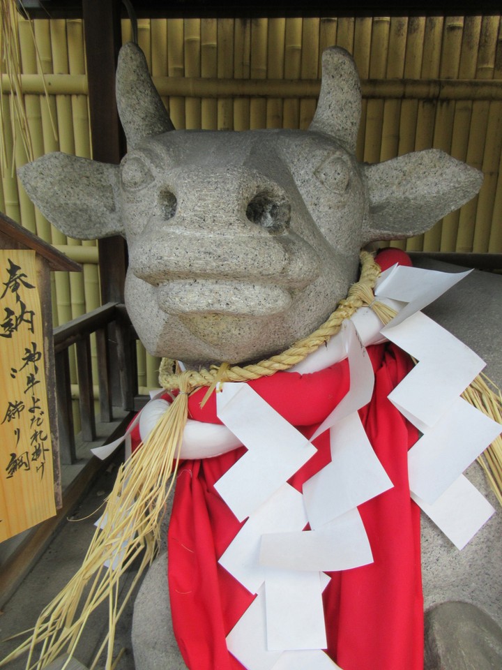 奉納された牛
