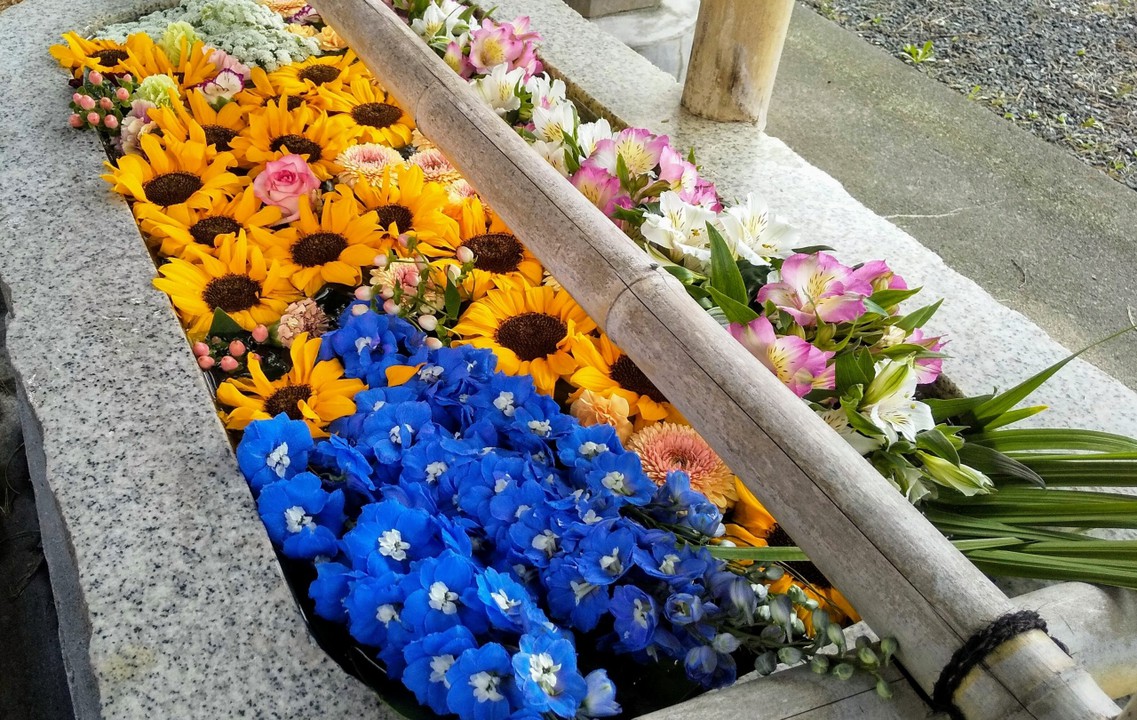 花手水(5月1日)