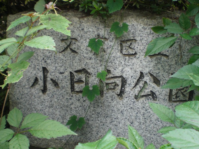小日向公園の標石です。雑草に覆われていて、確認ができません。