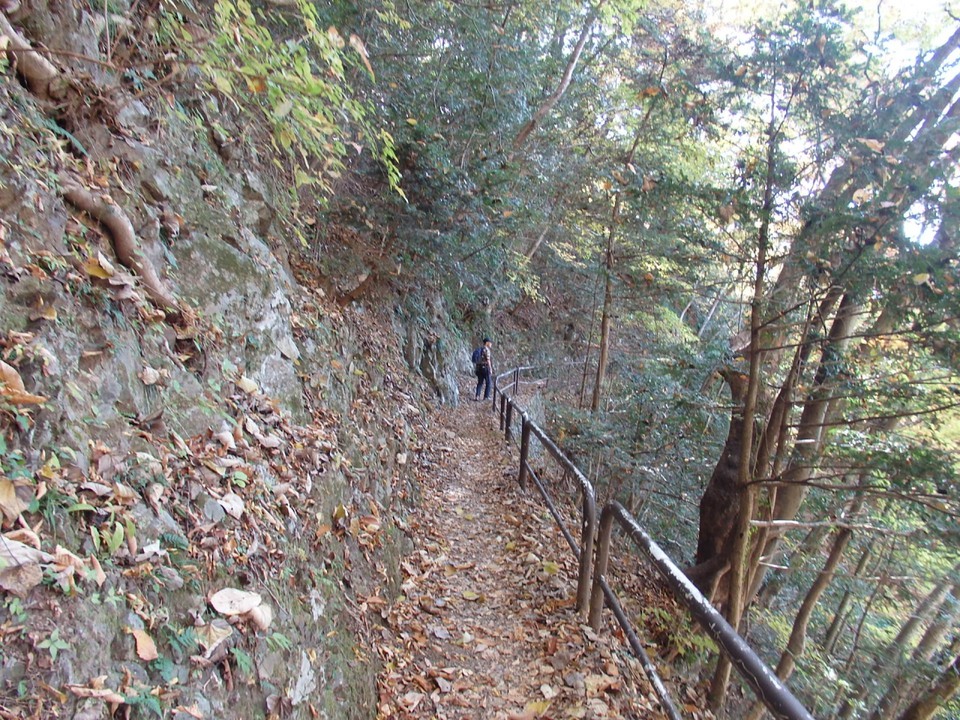 緩やかに下る