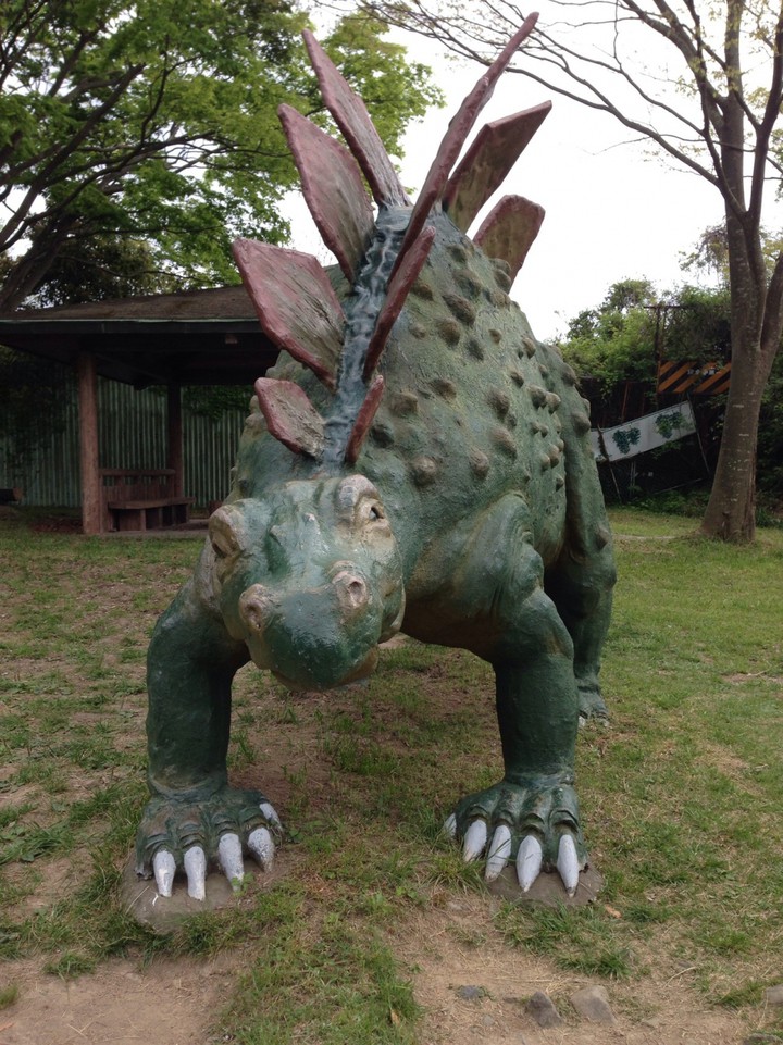 大人の方が登ってました