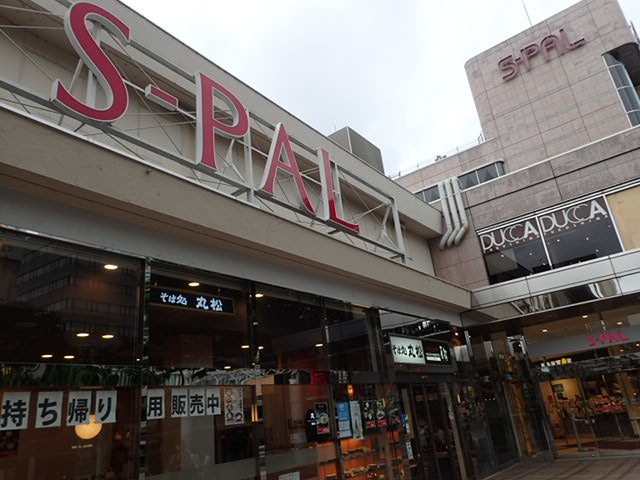 大きいです