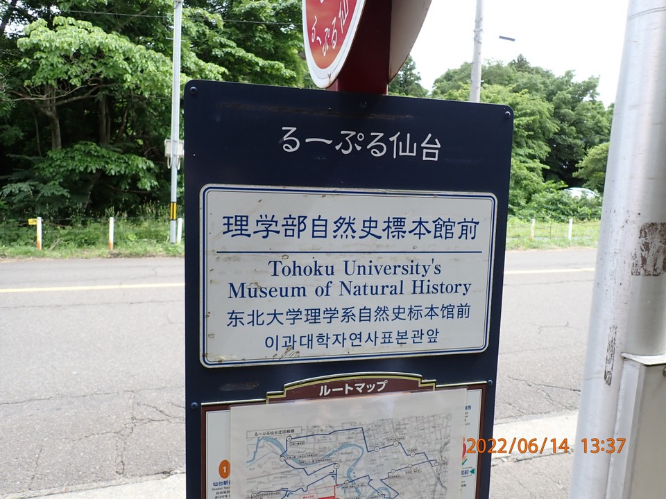 るーぷる仙台のバス停
