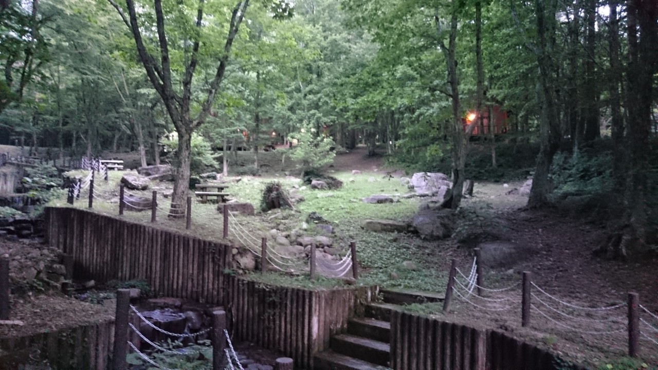 森林キャンプ場風景
