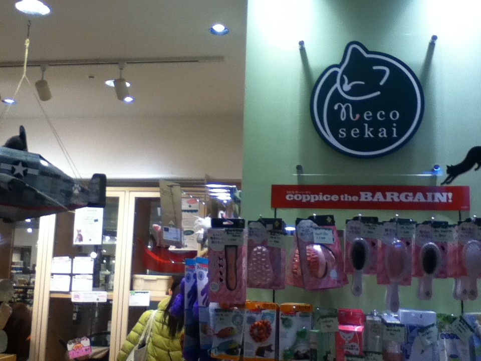 店内