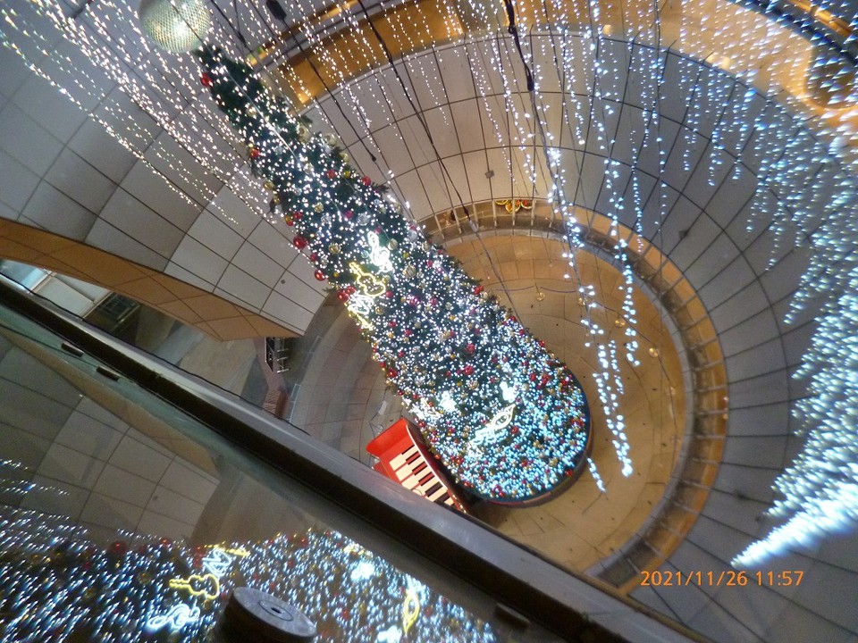 吸い込まれそうな高さから。