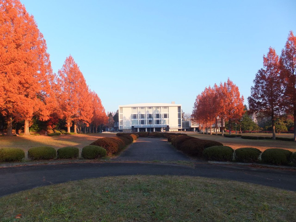 大学とは思えないきれいさ。