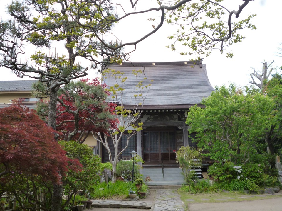 緑に囲まれる本堂