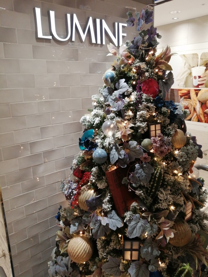 クリスマスツリーです。