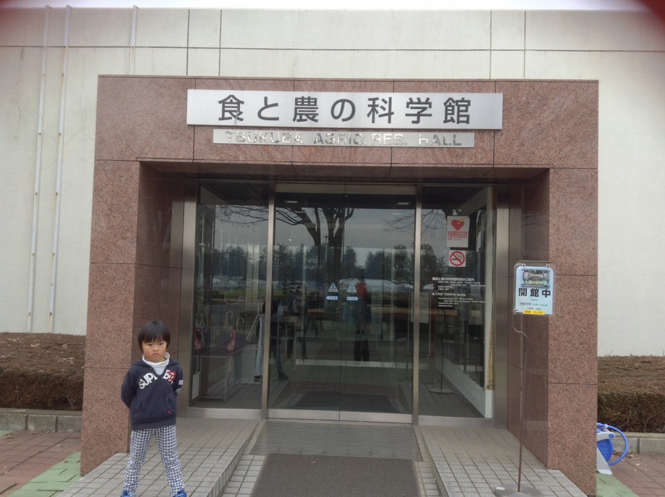 富山和子さんの催事を見たくて