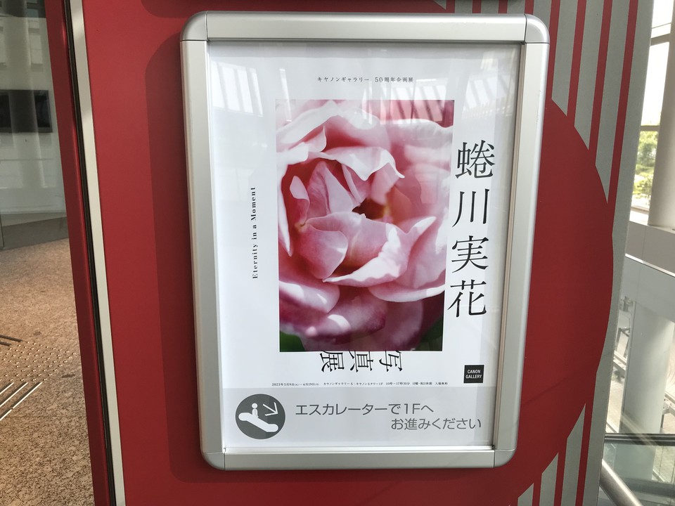 2階から1階へエスカレーターで移動