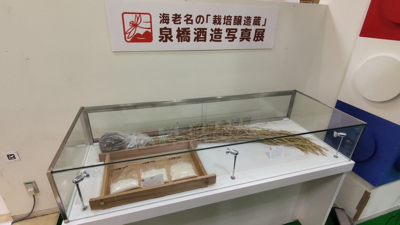 雄町の稲穂や麹蓋などの展示