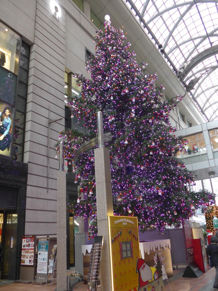 イベント広場のクリスマスツリー