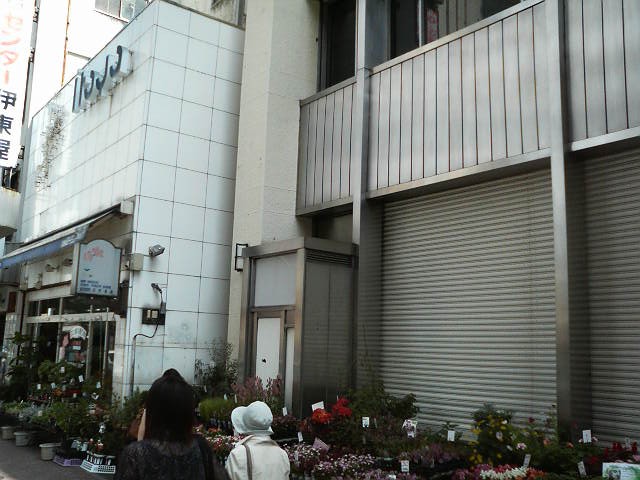 お店の外まで花で一杯でした。