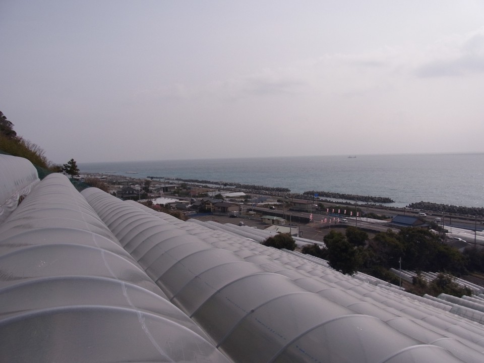 いちご畑からの風景