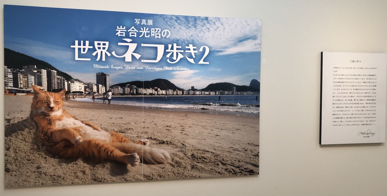 撮影可の作品