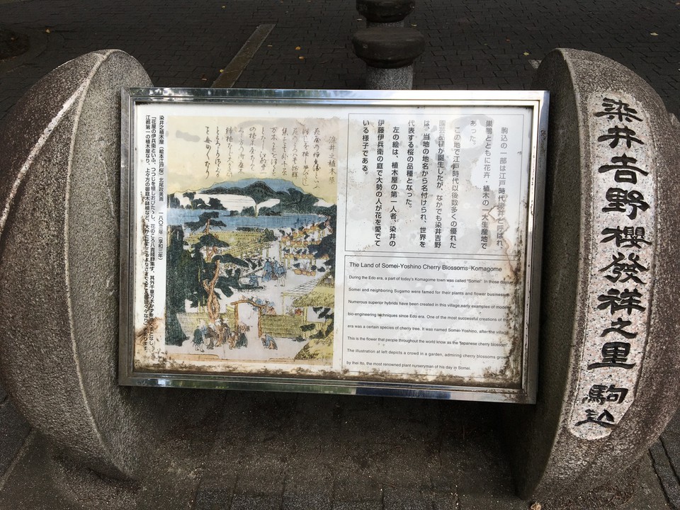 石碑