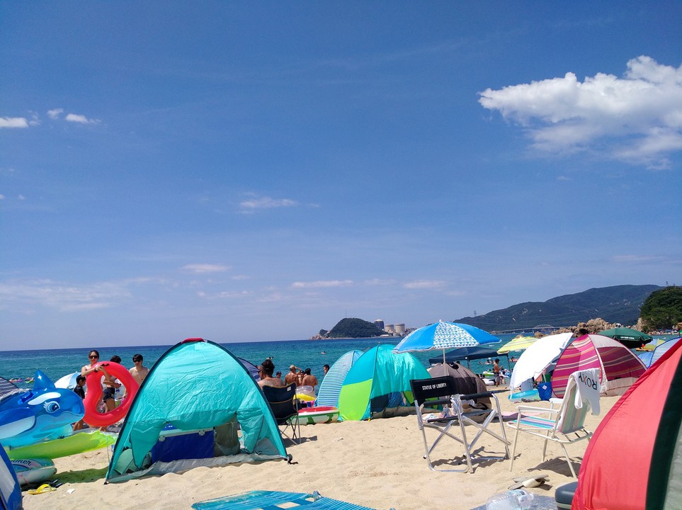 浜辺の様子