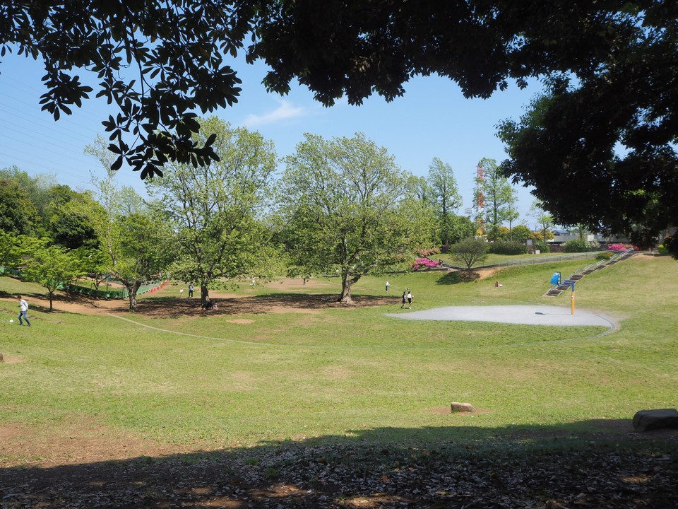 公園内の雰囲気