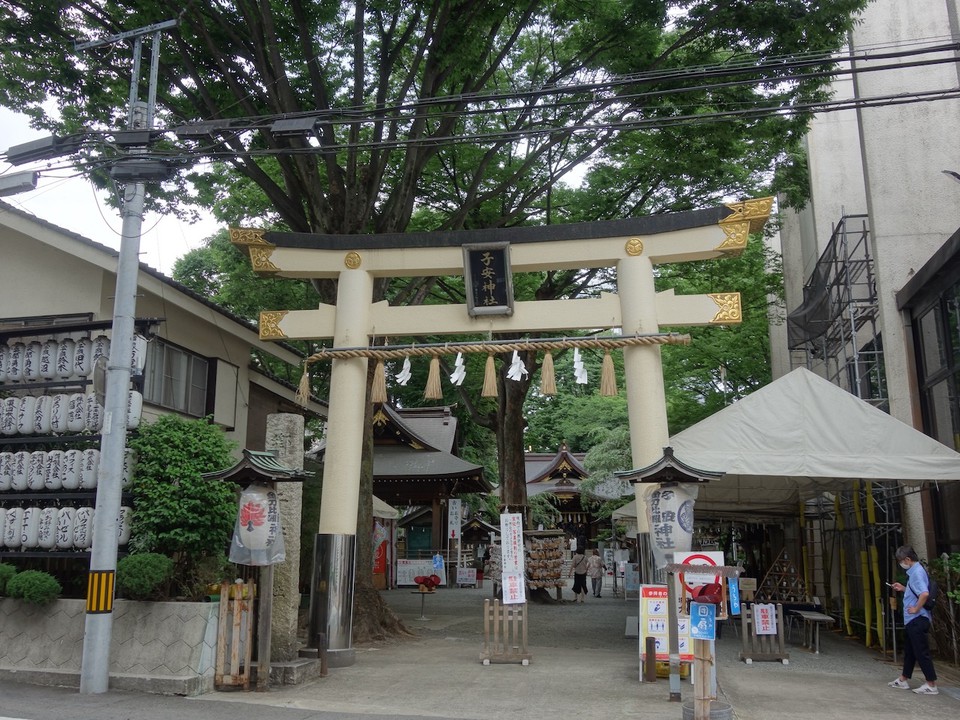 この色の鳥居は珍しいかも。