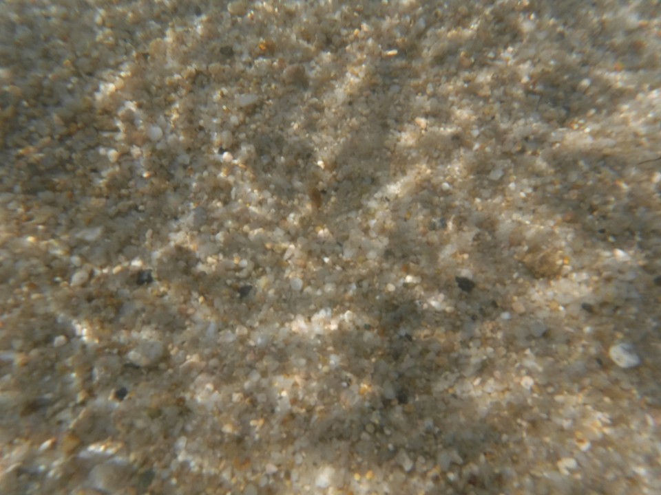 海水