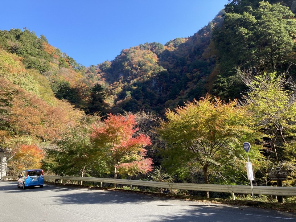 国道から分かれて比較的近いところは11月3日時点ではもう少し