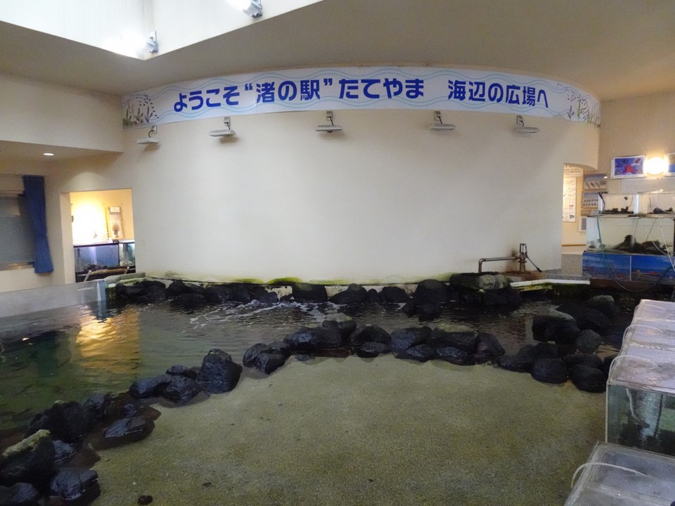 海辺の広場