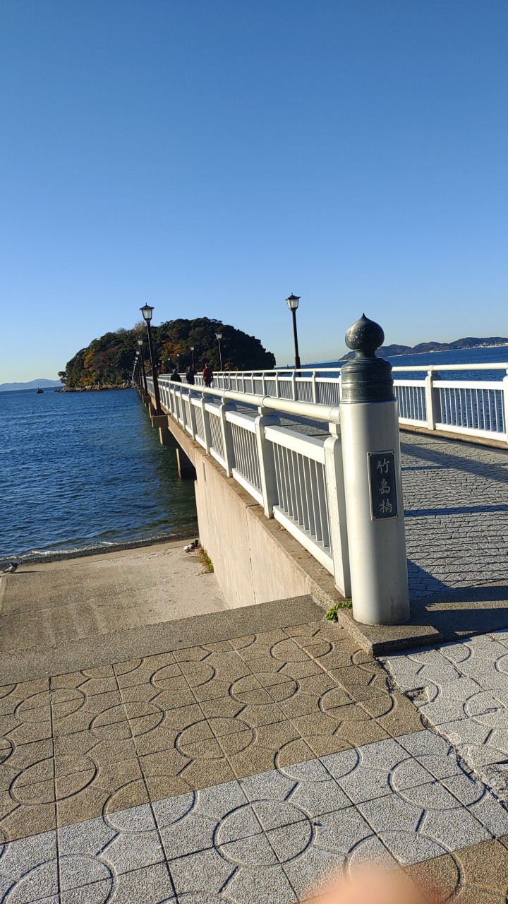 立派な 頑丈な橋で往来ができます