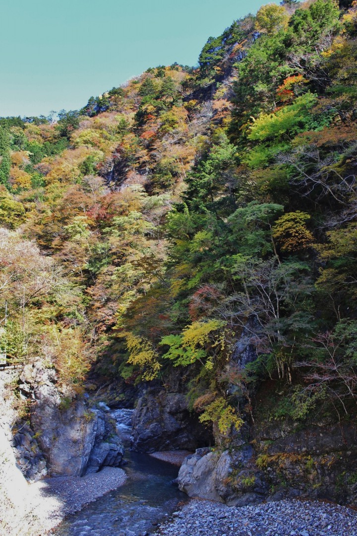 切り立った崖の紅葉と清流