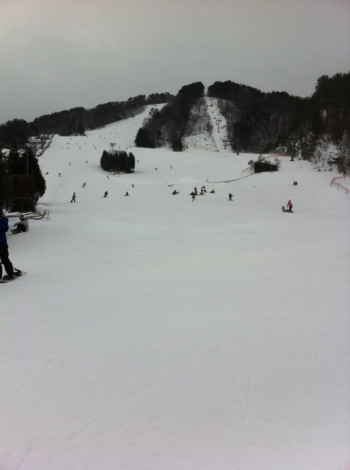 スキー場です。