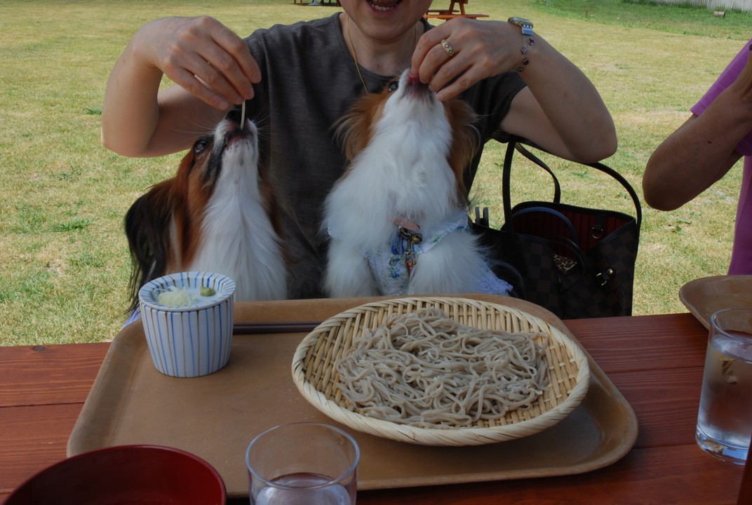 手打ち蕎麦