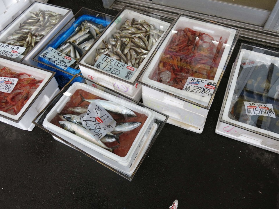採れたて魚介類