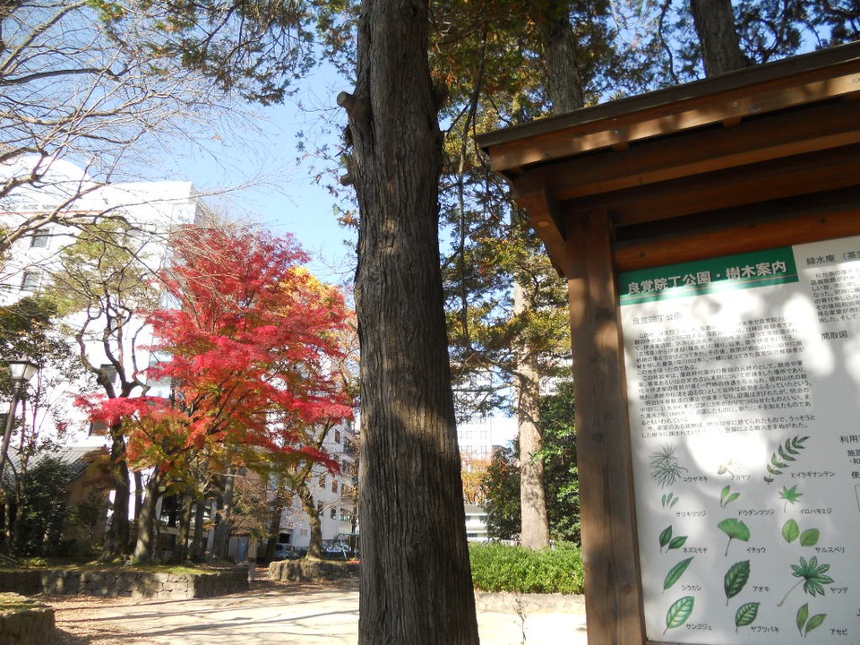 紅葉も綺麗でした☆