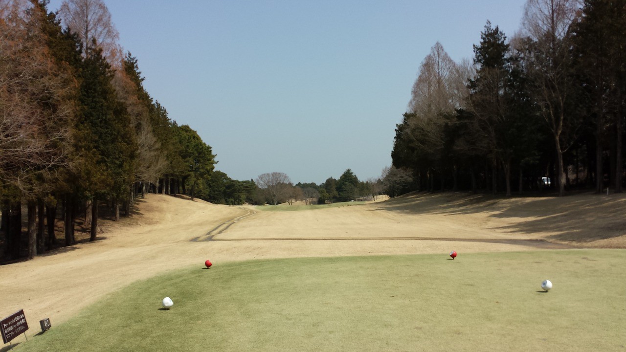 快適にプレーできました。