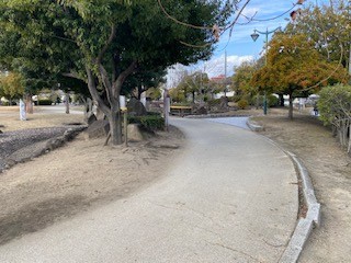 緑に囲まれた散策路です。